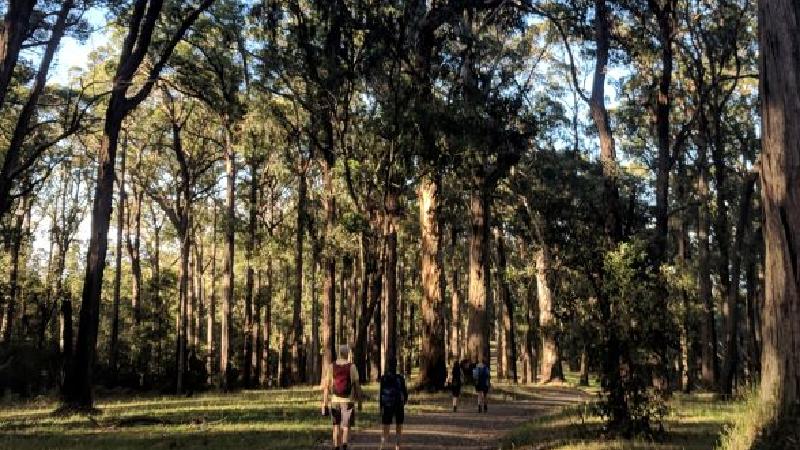 When you start the day with some exercise in the great outdoors, you deserve the afternoon off to relax. That’s how we do it on our Yarra Valley tours, at least, where a morning of hiking in a beautiful rainforest is followed by an afternoon of great food and drink.